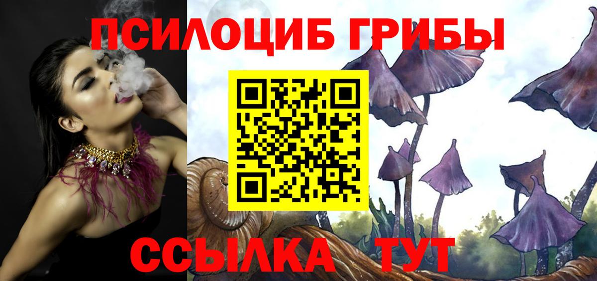 Галлюциногенные грибы MAGIC MUSHROOMS  Вход с VPN  Котлас  Галлюциногенные грибы Psilocybe 