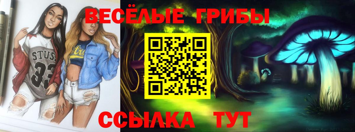 Галлюциногенные грибы мицелий Котлас